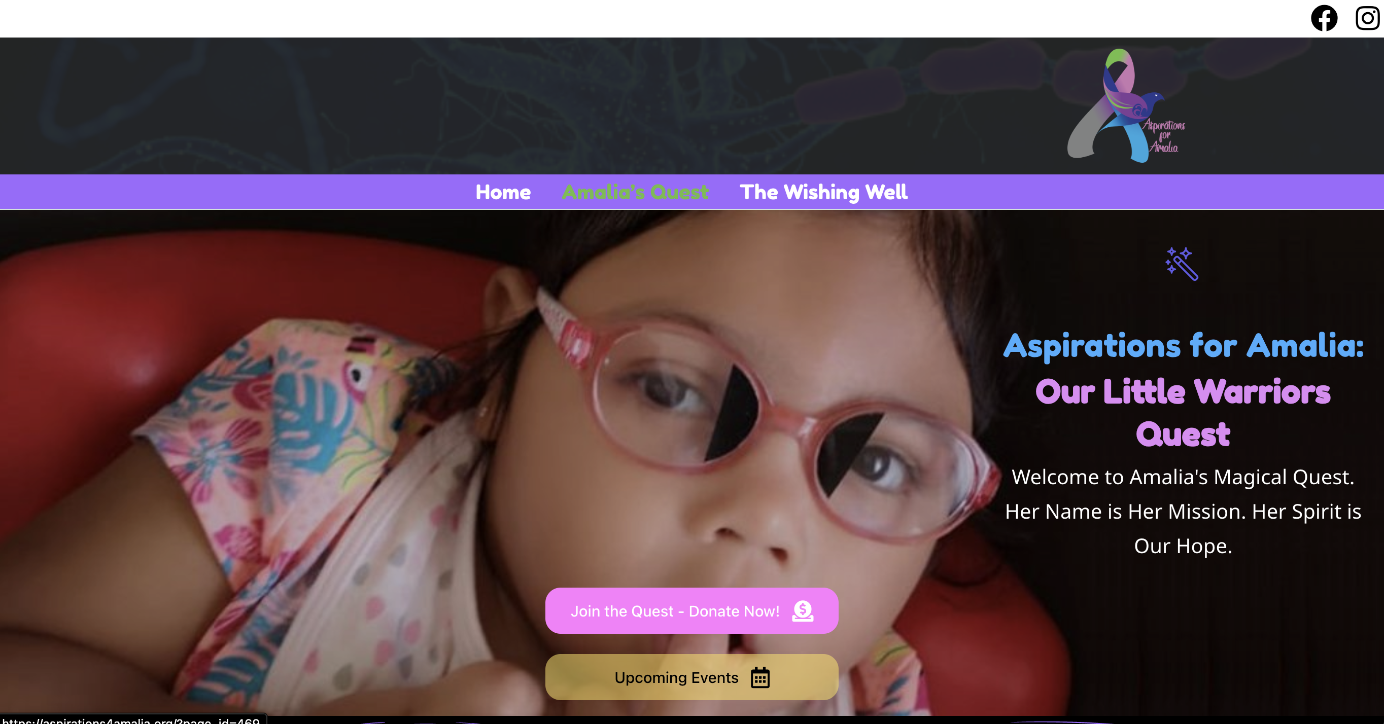 Aspirations for Amalia Non-Profit Website Interface